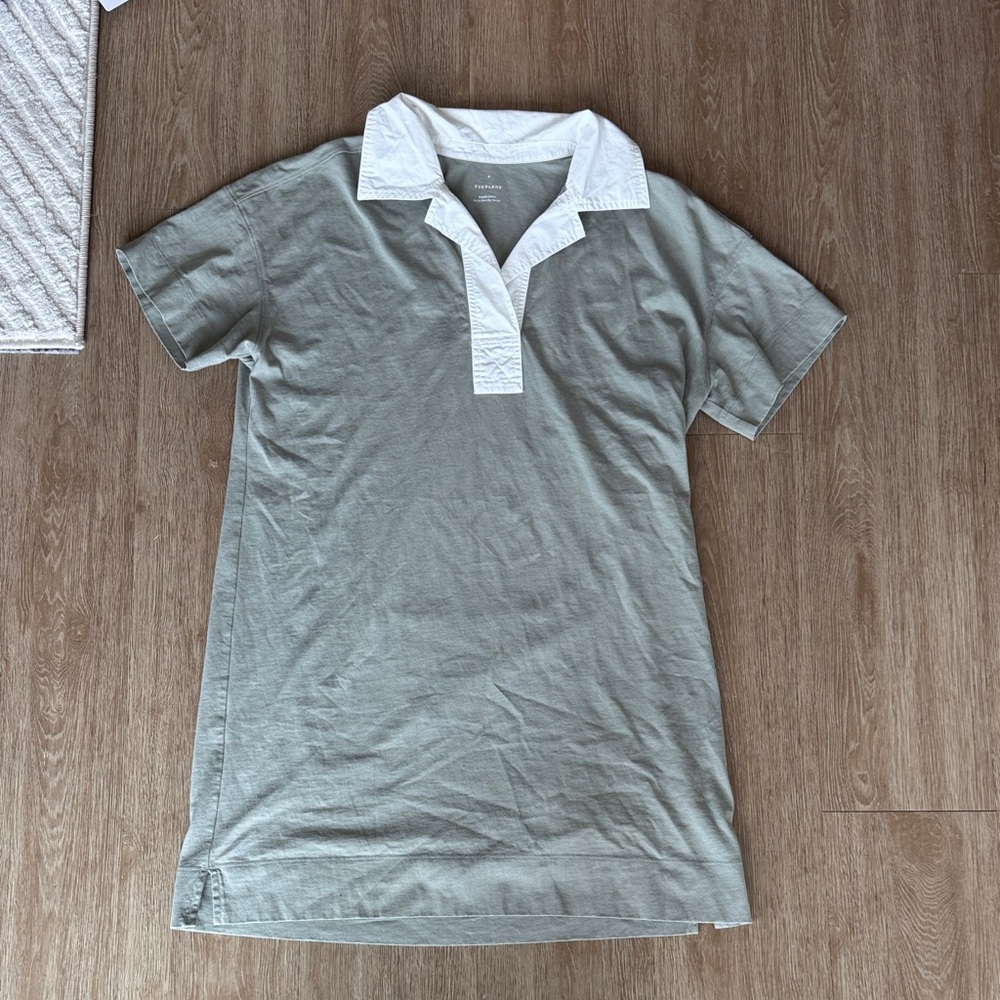 Everlane Collared Tshirt Dress